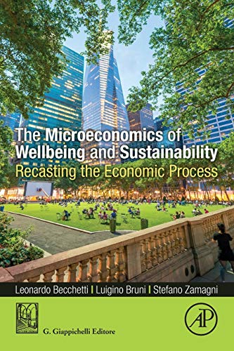 The Microeconomics of Wellbeing and Sustainability Recasting the Economic Proce [Paperback]