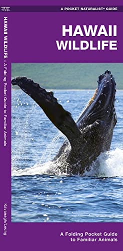 Hawaii Wildlife: A Folding Pocket Guide to Familiar Animals [Pamphlet]