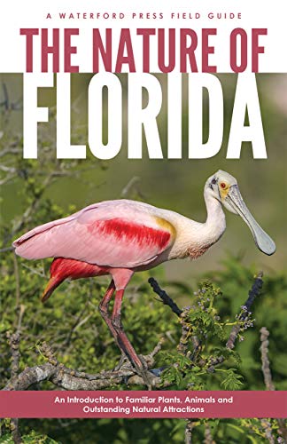 The Nature of Florida: An Introduction to Familiar Plants, Animals & Outstan [Paperback]