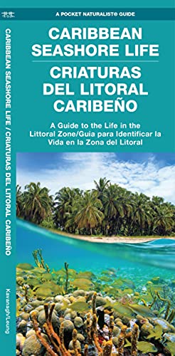 Caribbean Seashore Life (Criaturas Del Litoral Caribeno): A Guide to the Life in [Pamphlet]