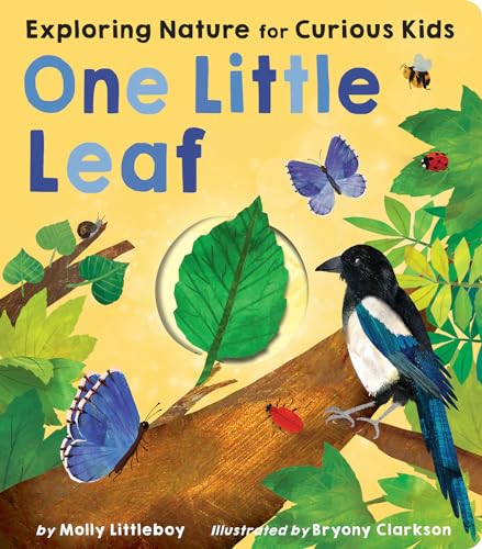 One Little Leaf: Exploring Nature for Curious Kids [Board book]