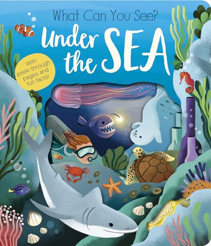 What Can You See? Under the Sea [Board book]