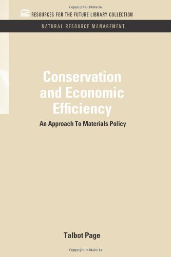 Conservation and Economic Efficiency  An Approach to Materials Policy [Hardcover]