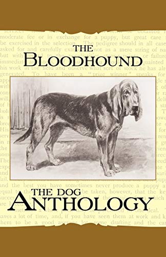 Bloodhound - a Dog Anthology [Unknon]