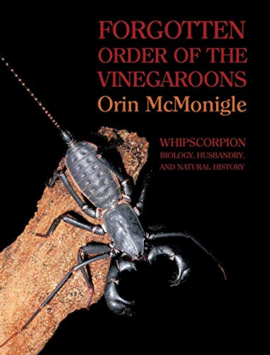 Forgotten Order Of The Vinegaroons Whipscorpion Biology, Husbandry, And Natural [Hardcover]