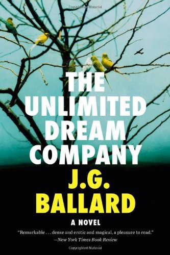 The Unlimited Dream Company: A Novel [Paperba