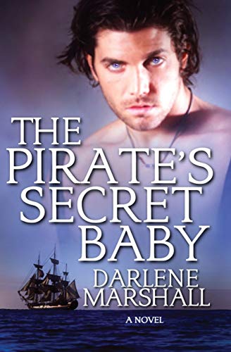 Pirate's Secret Baby [Paperback]