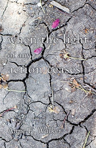 When The Light Of Any Action Ceases [Paperback]