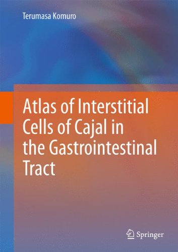 Atlas of Interstitial Cells of Cajal in the Gastrointestinal Tract [Hardcover]