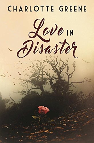 Love in Disaster [Paperback]