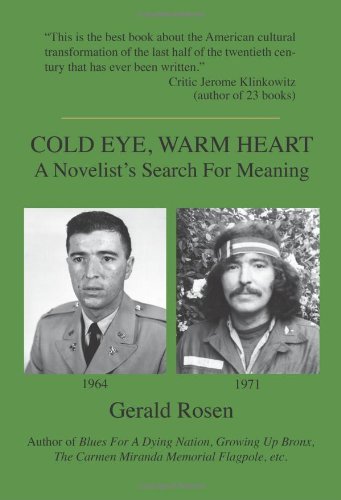 Cold Eye, Warm Heart  A Novelist's Search for Meaning [Paperback]