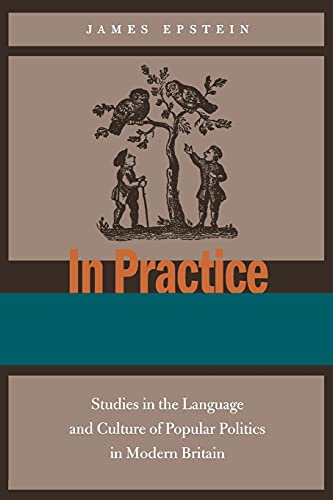 In Practice Studies in the Language and Culture of Popular Politics in Modern B [Paperback]