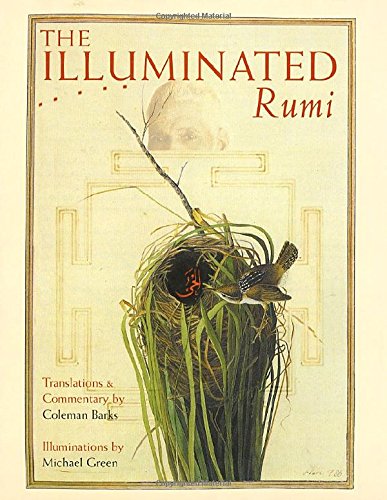 The Illuminated Rumi [Hardcover]