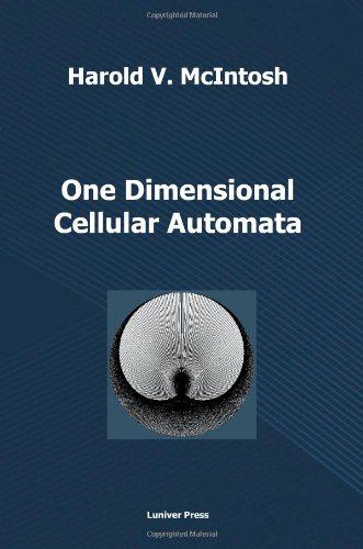 One Dimensional Cellular Automata [Paperback]