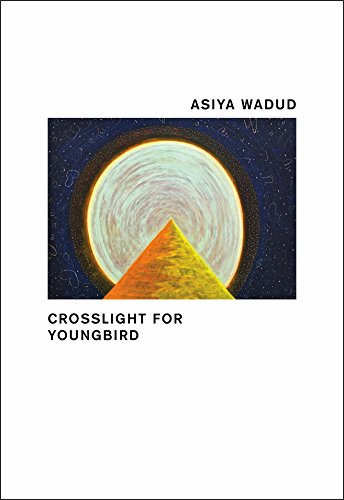 Crosslight for Youngbird [Paperback]