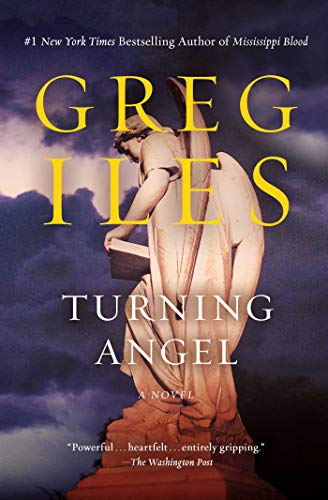 Turning Angel: A Novel [Paperback]