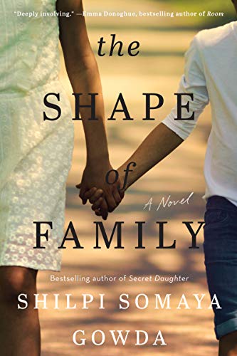 The Shape of Family: A Novel [Paperback]