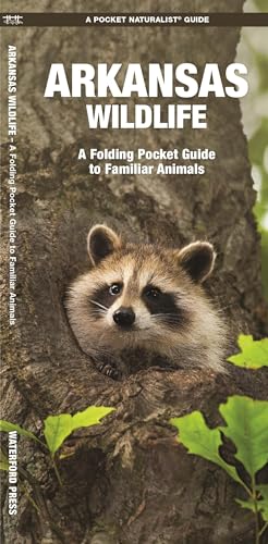 Arkansas Wildlife: A Folding Pocket Guide to Familiar Species [Pamphlet]