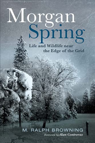 Morgan Spring  Life and Wildlife near the Edge of the Grid [Paperback]