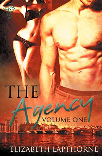 The Agency Vol 1 (volume 1) [Paperback]