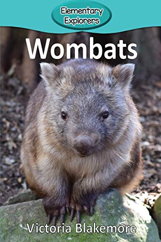 Wombats [Paperback]