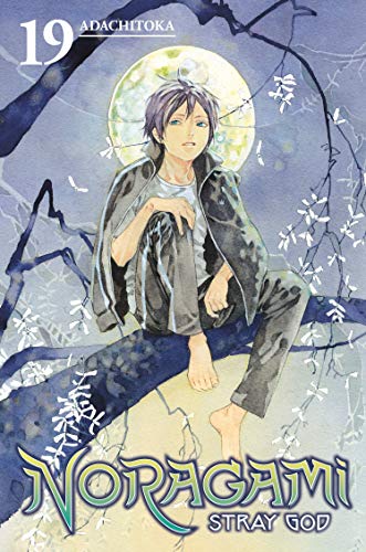 Noragami: Stray God 19 [Paperback]