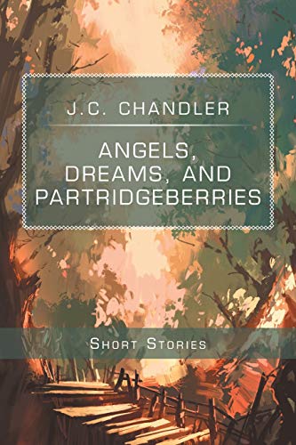 Angels, Dreams, and Partridgeberries  Short Stories [Paperback]