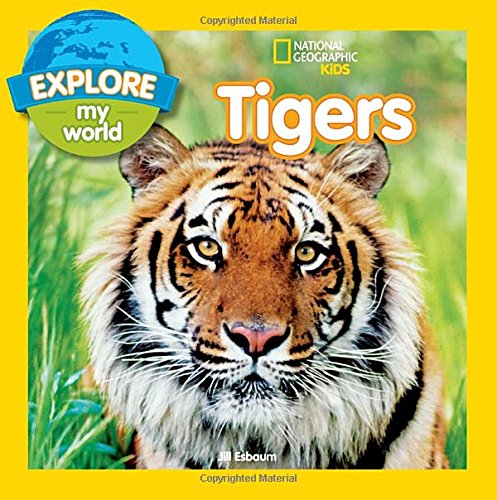 Explore My World Tigers [Paperback]