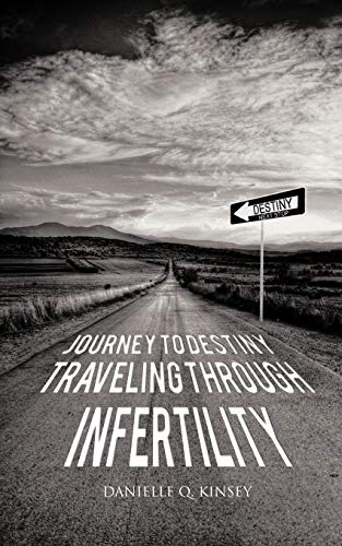 Journey to Destiny, Traveling Through Infertility [Paperback]