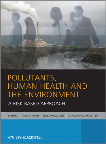 Pollutants, Human Health and the Environment: A Risk Based Approach [Paperback]