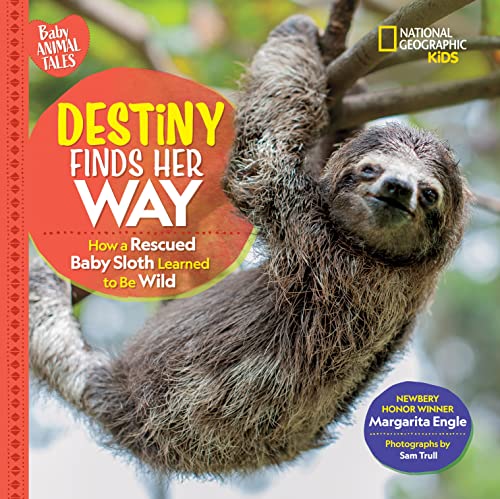 Destiny Finds Her Way: How a Rescued Baby Sloth Learned to Be Wild [Hardcover]