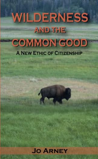 Wilderness and the Common Good: A New Ethic of Citizenship [Paperback]