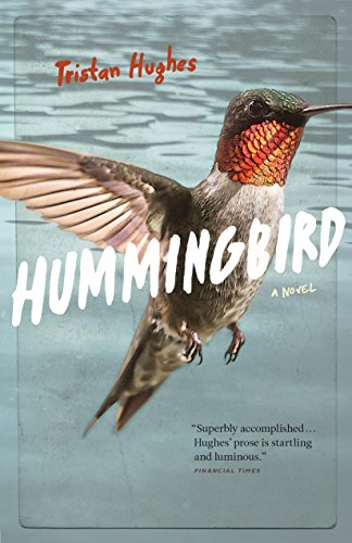 Hummingbird [Paperback]