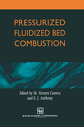 Pressurized Fluidized Bed Combustion [Paperback]