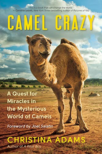 Camel Crazy: A Quest for Miracles in the Mysterious World of Camels [Paperback]