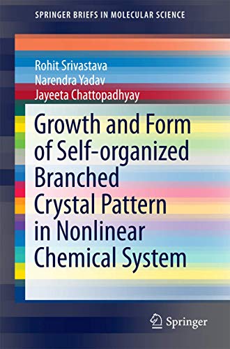 Growth and Form of Self-organized Branched Crystal Pattern in Nonlinear Chemical [Paperback]