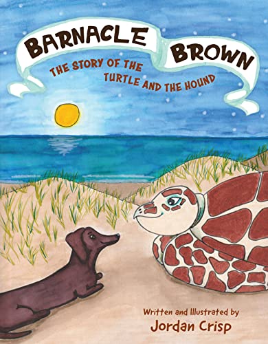 Barnacle Brown: The Story of the Turtle and t