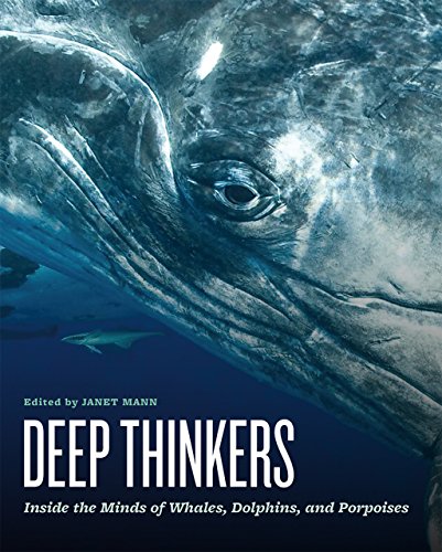 Deep Thinkers: Inside the Minds of Whales, Do