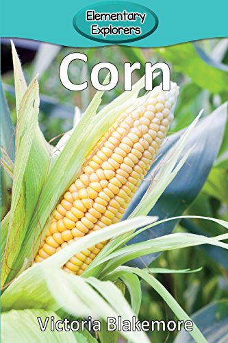 Corn (elementary Explorers) [Paperback]