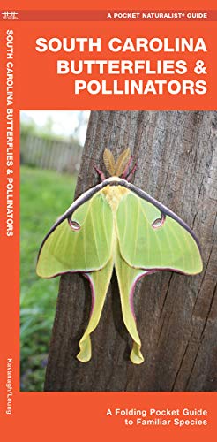 South Carolina Butterflies & Pollinators: A Folding Pocket Guide to Familiar [Pamphlet]