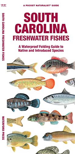 South Carolina Freshwater Fishes: A Waterproof Folding Guide to Native and Intro [Pamphlet]