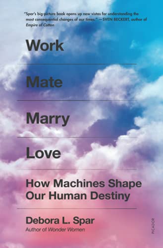 Work Mate Marry Love: How Machines Shape Our Human Destiny [Paperback]