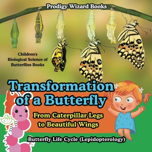 Transformation of a Butterfly  From Caterpillar Legs to Beautiful Wings - Butte [Paperback]