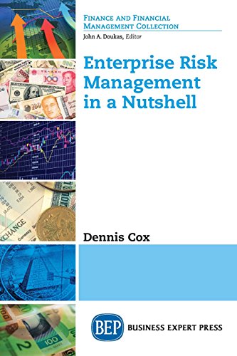 A Brief Guide To Enterprise Risk Management [Paperback]