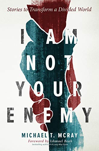 I Am Not Your Enemy : Stories to Transform a Divided World [Paperback]