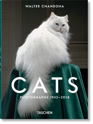 Walter Chandoha. Cats. Photographs 19422018