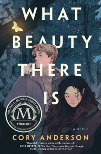 What Beauty There Is: A Novel [Paperback]