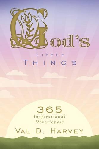 God's Little Things 365 Inspirational Devotionals [Paperback]