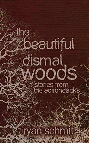 The Beautiful Dismal Woods Short Stories From The Adirondacks [Paperback]