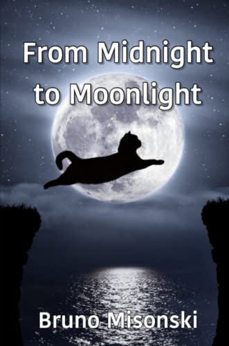 From Midnight to Moonlight [Paperback]